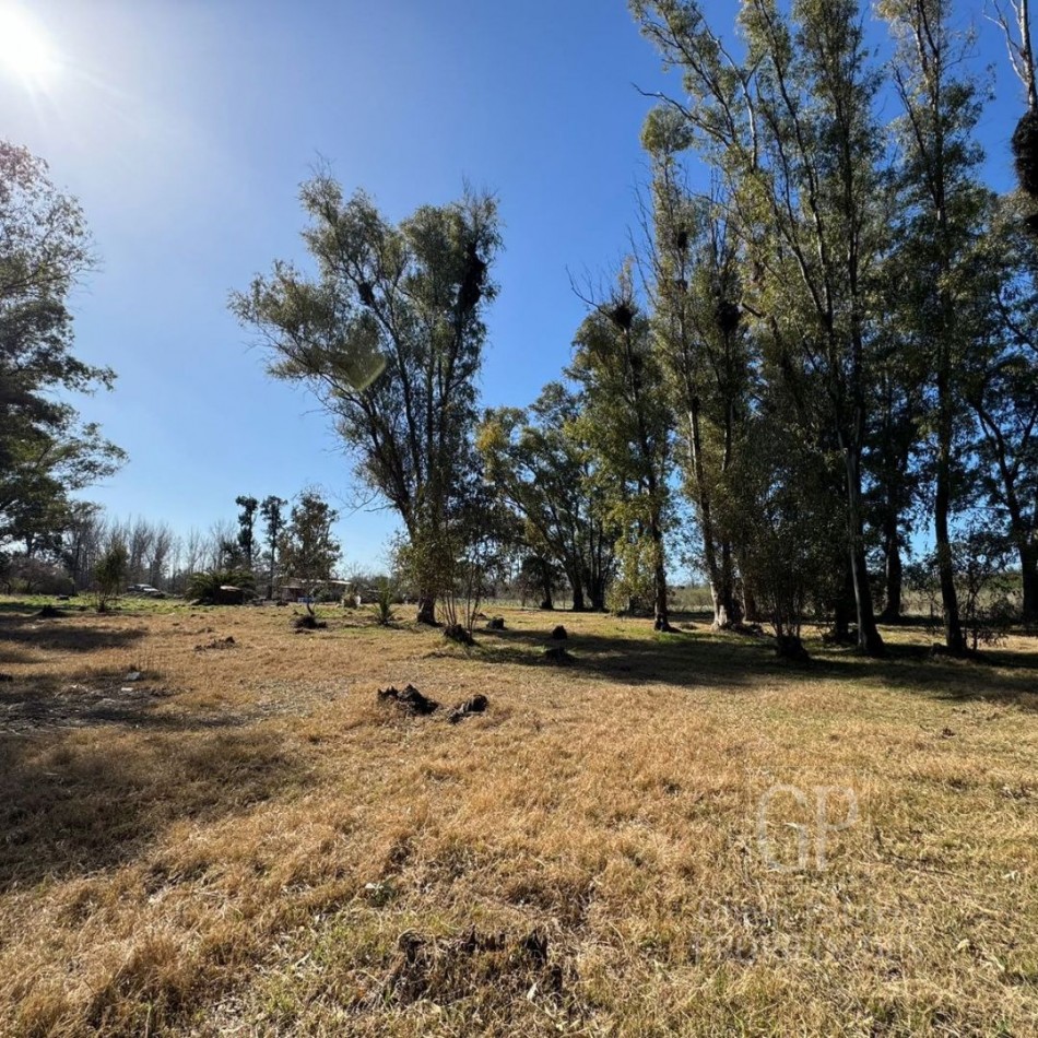 VENTA LOTE DE 1 HA-