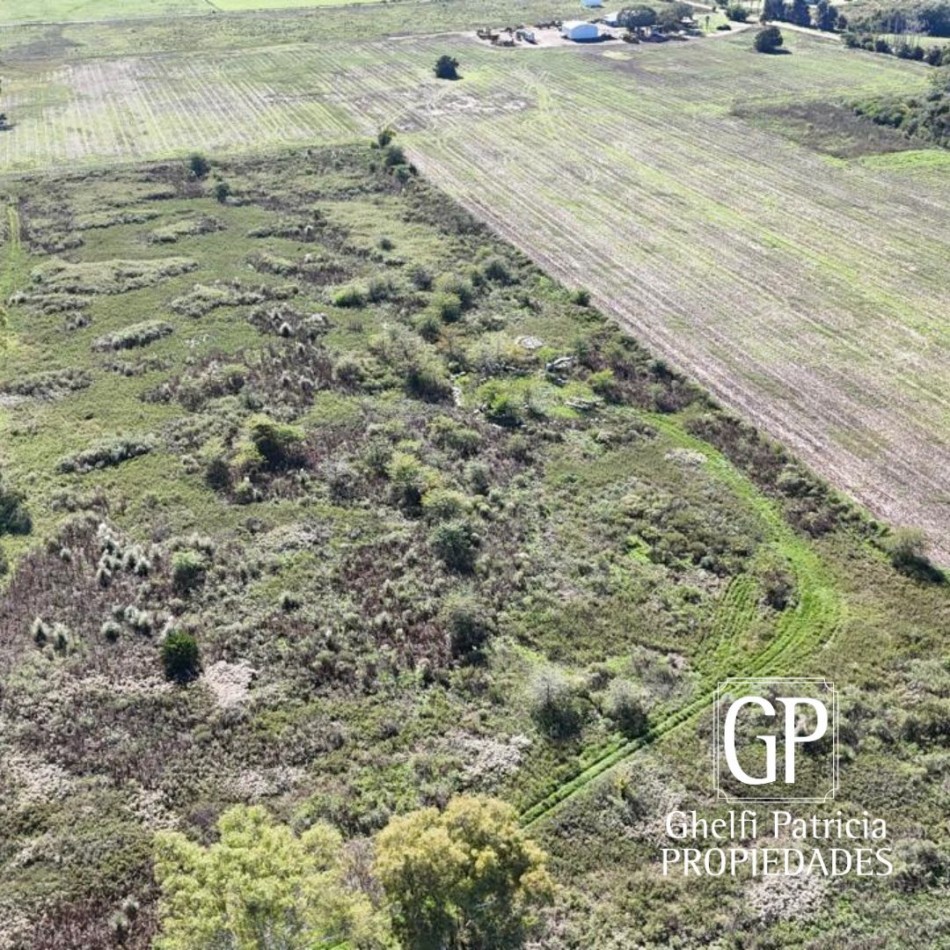 CAMPO EN VENTA- SAN JACINTO