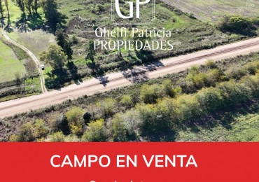 CAMPO EN VENTA- SAN JACINTO